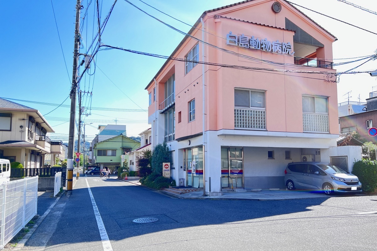 周辺写真3（白島動物病院駐車場）